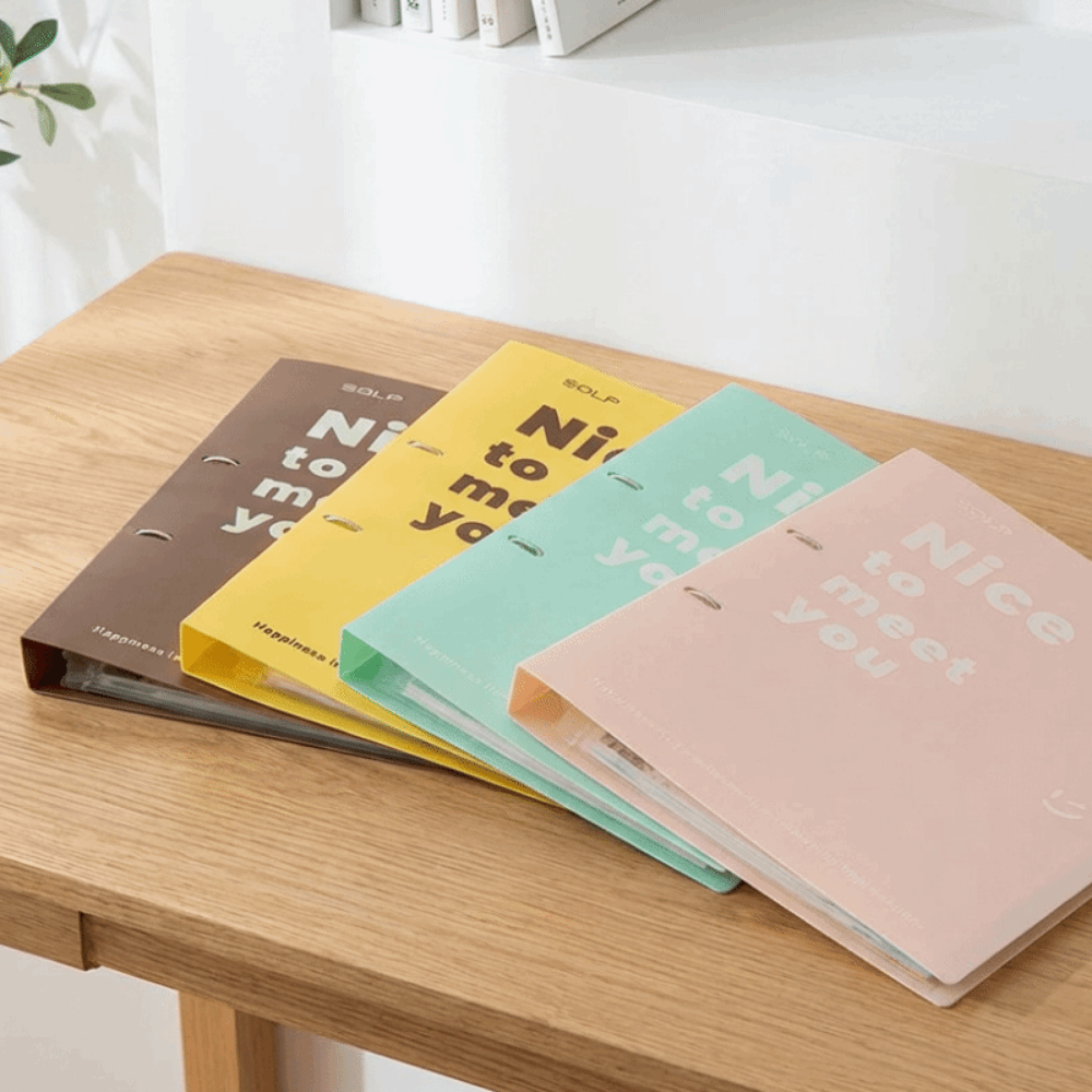 Practical PP Loose Leaf File B - Binder Clip Assorted 评论和价格